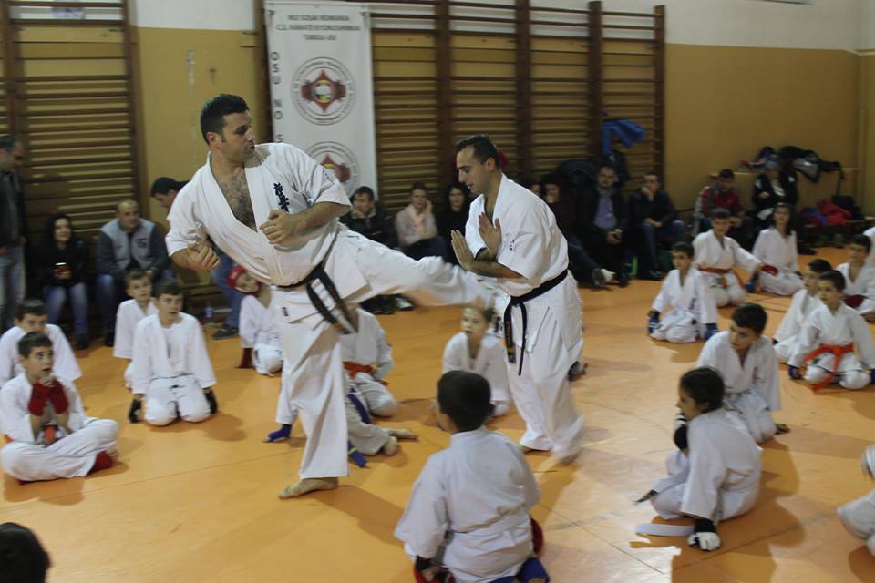karate2