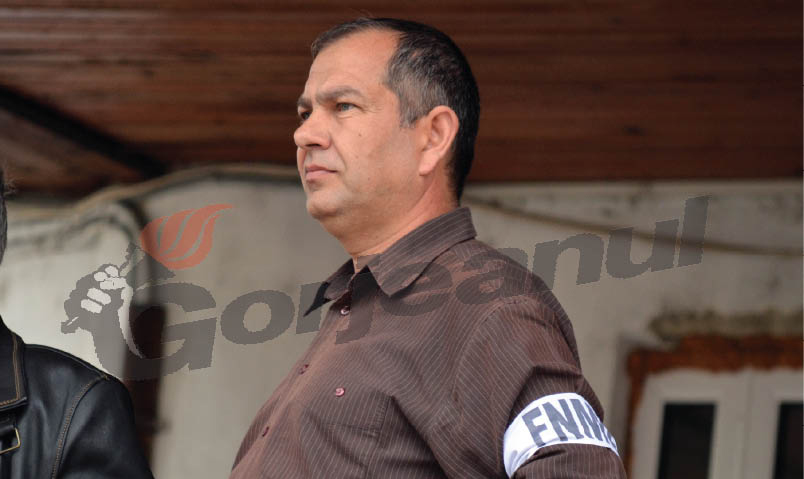 parvulescu fnme (2) ins