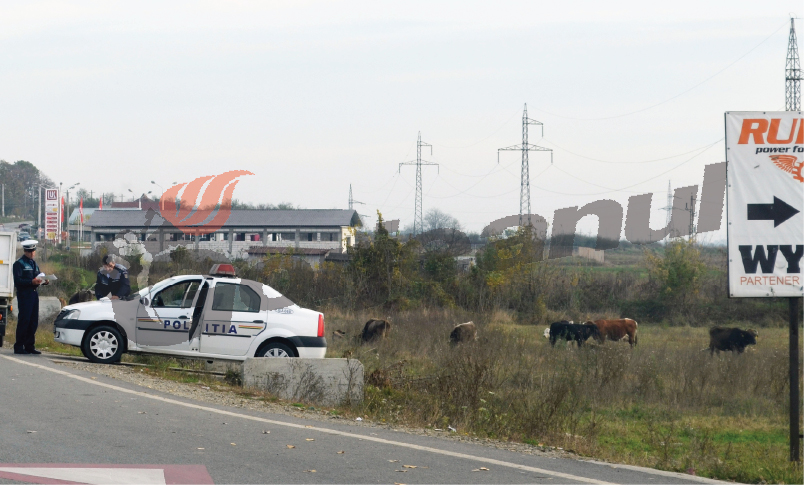 Zeci de permise reținute și sute de amenzi, în weekend