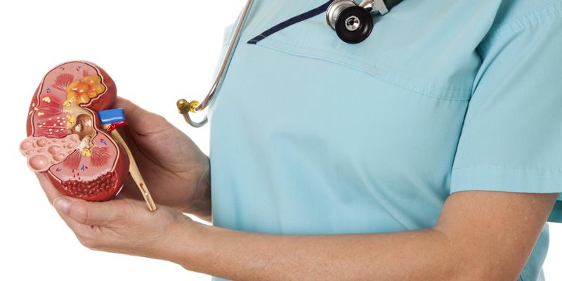 Ziua Mondială a Rinichiului