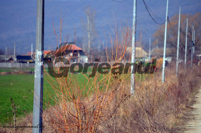 AFIR a elaborat noi ghiduri pentru fermieri