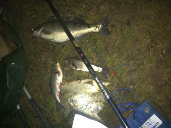 Percheziție în trafic încheiată cu dosar penal