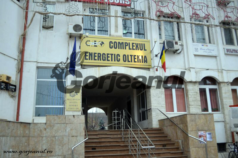 ceo divizia miniera