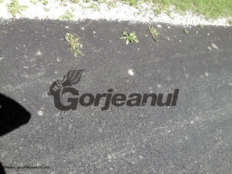 Investiție “fertilă” la Ciuperceni: Pe noul drum al primarului Tăloi cresc păpădiile