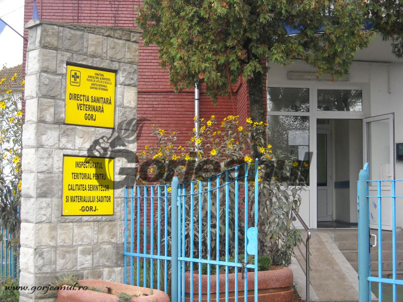 Permanenţă pentru medicii veterinari