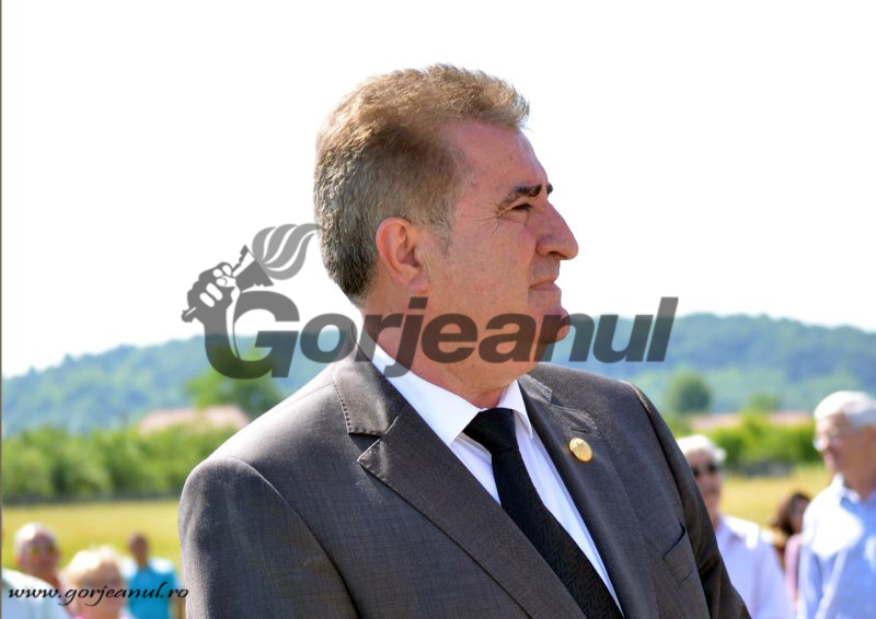 Deputații PMP de Gorj și senatorul ALDE, victorie în Senat pe Legea Energiei