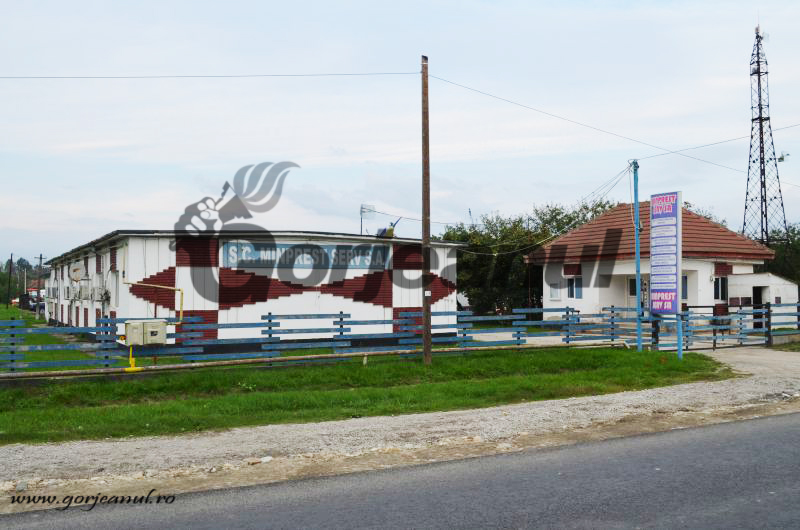 Incomozii, trimiși acasă! La Minprest se schimbă denumirea serviciilor pentru a se desființa posturile TESA