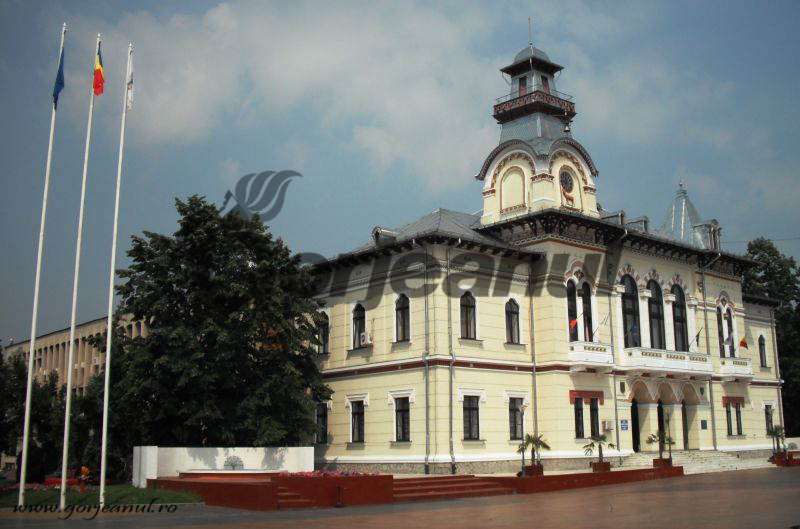 “Directiva privind rentabilizarea reducerii emisiilor de dioxid de carbon și sporirea investițiilor în acest domeniu”, dezbătută la Târgu-Jiu