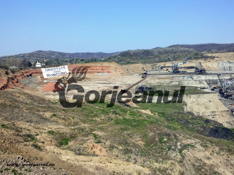 runcurel greenpeace (1)