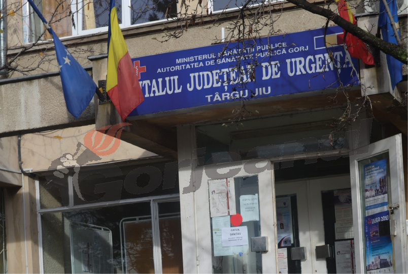 Peste 600 de gorjeni, mușcați de animale