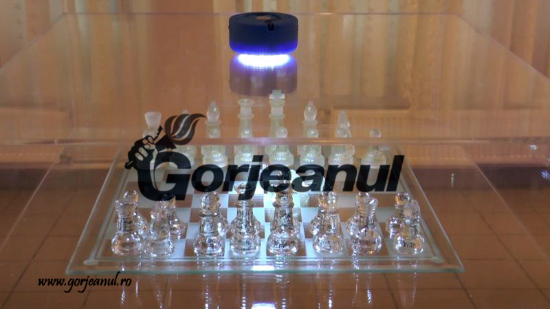 Artista Raffaella Maron şi-a expus operele la Târgu-Jiu