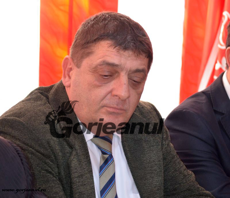 gheorghe-stoichitoiu-branesti