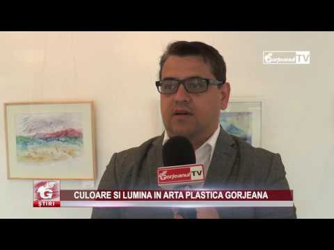 CULOARE ȘI LUMINĂ ÎN ARTA PLASTICĂ GORJEANĂ