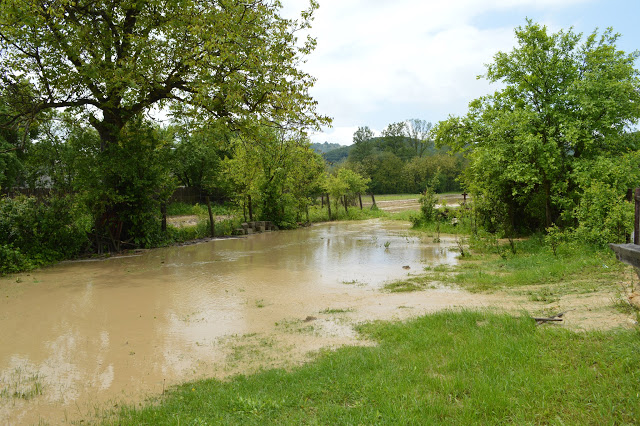 Pagubele după inundațiile din Stejari și Dănciulești, evaluate la județ
