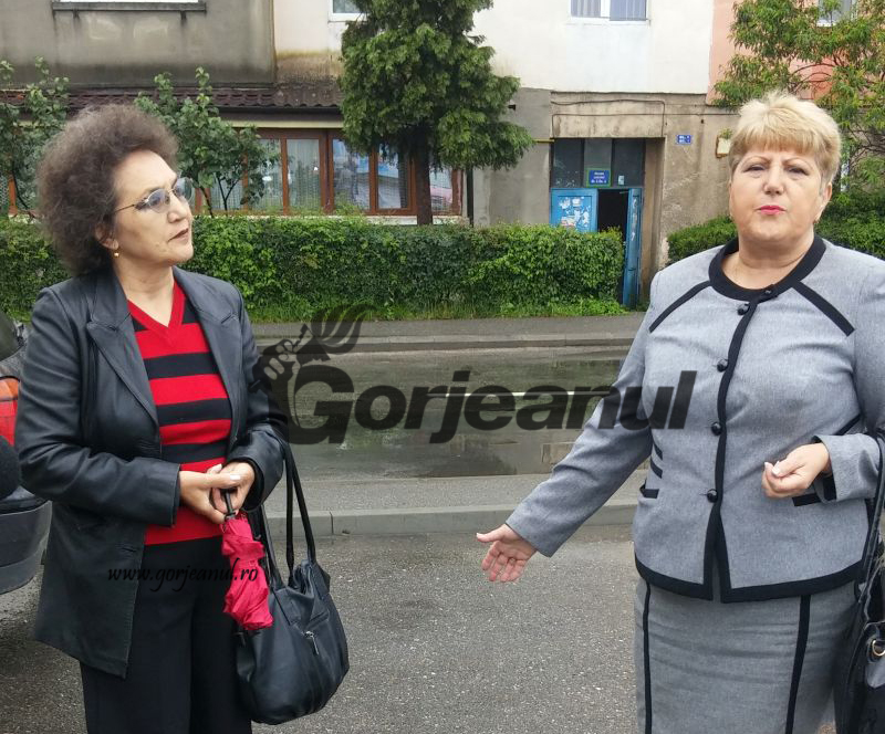 Neînțelegeri pe bani europeni la o școală din Târgu Jiu