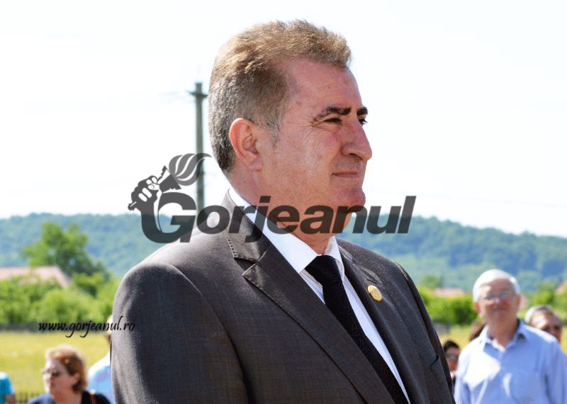 Declaraţia de avere a lui Iriza, mai subţire decât anul trecut