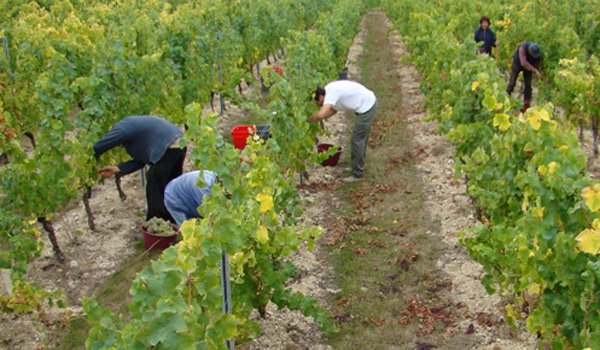 Zilierii din judeţ, plătiţi cu minim 7,382 de lei pe oră