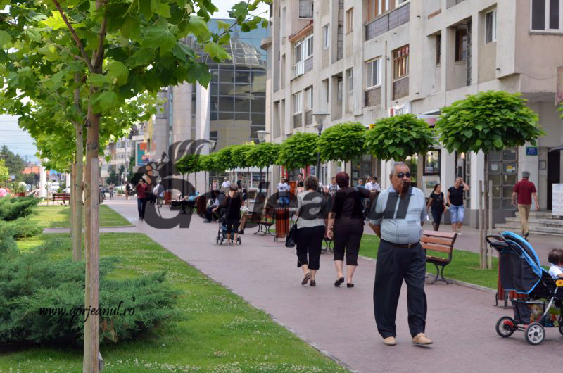 Atenție la păstrarea alimentelor pe timp de caniculă!