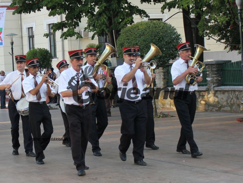 Mai mulţi bani pentru Fanfara “Armonia”