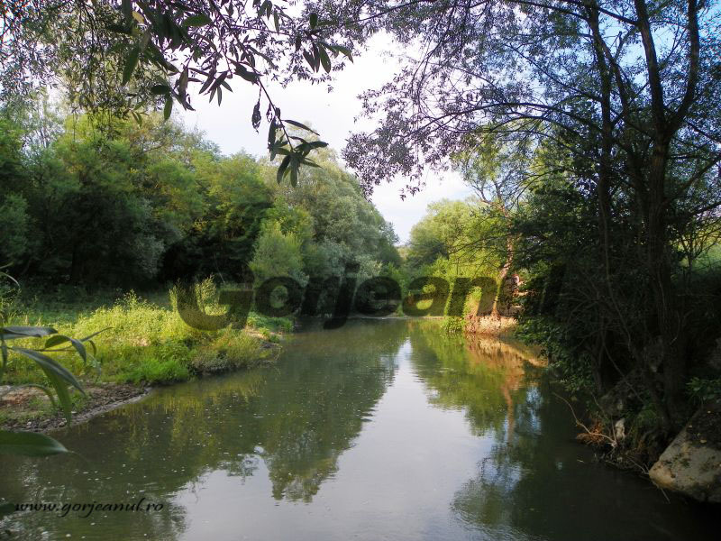 Atitudini estivale – „Iarba verde” şi obligaţiile sale