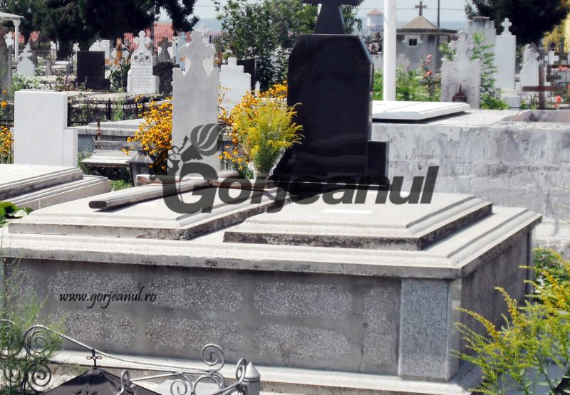 Locuri de veci gratuite pentru beneficiarii Complexului de Recuperare și Reabilitare Neuropsihiatrică pentru adulți „Bâlteni”