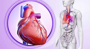 Site dedicat afecţiunilor cardiovasculare