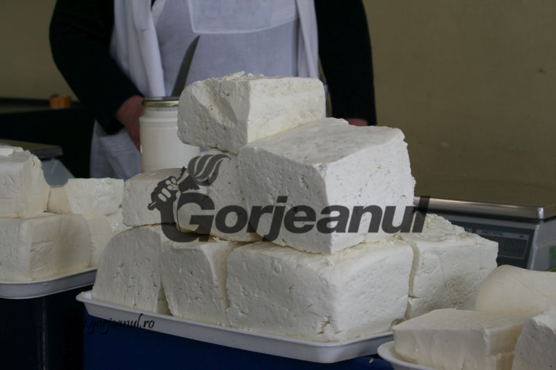 Controale la Gorj pentru determinarea bacteriei E-Coli