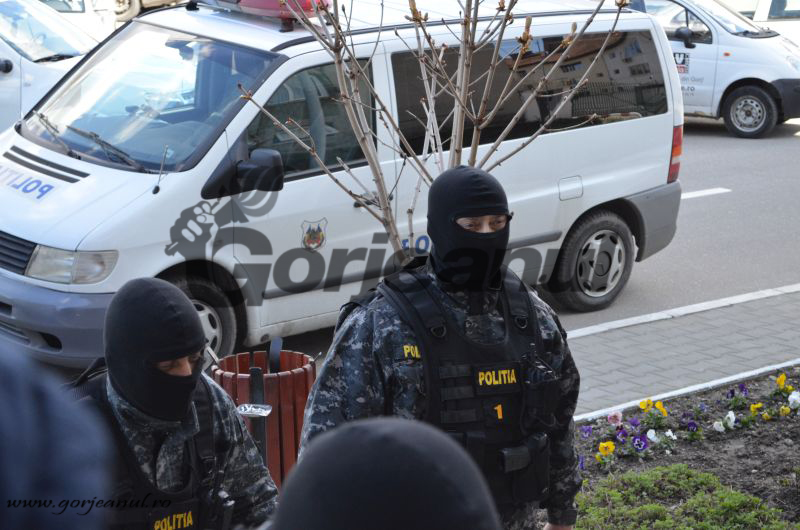 mascati politie duba perchezitii