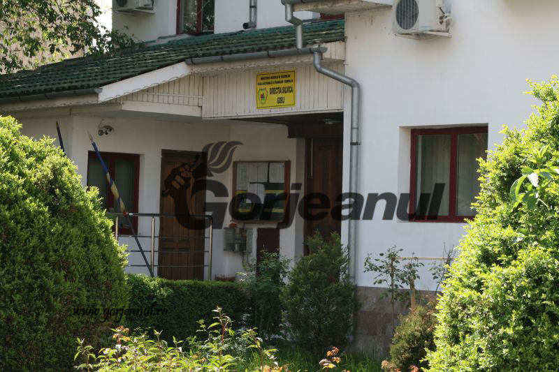 Vânatul de pe raza ocoalelor silvice din Gorj, ajutat cu sare la digestie