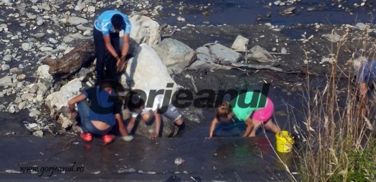 20160717_175105-740x360