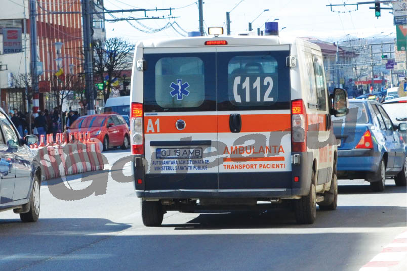 Niculescu, SJA: „Nu am avut mai multe intervenţii pe timpul verii”