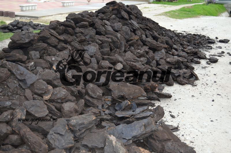 Cota de cărbune, transformată la CEO în tichete cadou de 500 de lei