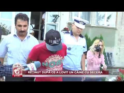 REŢINUT DUPĂ CE A LOVIT UN CÂINE CU SECERA