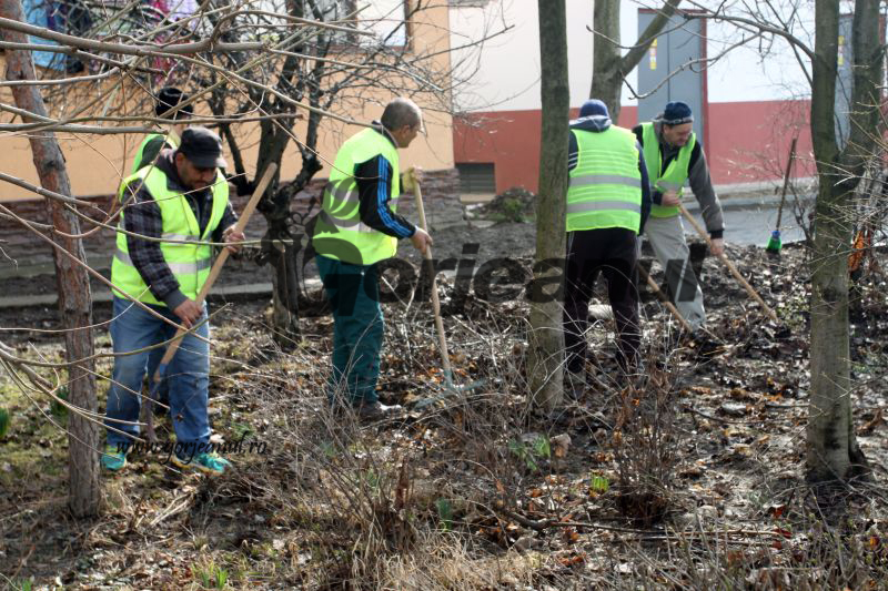 Se caută muncitor pe Salubritate la Sadu