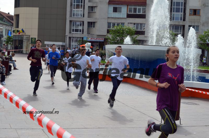 DJST Gorj, obligată să deruleze programe sportive naţionale