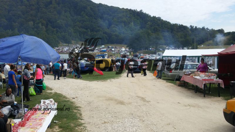 Romii nu mai petrec la Costești!