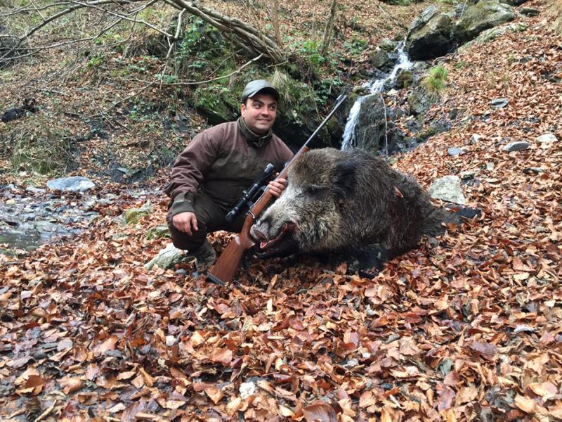 Lăutarul Dodo Lătărețu, lăsat fără arme pentru un mistreț braconat la Albeni