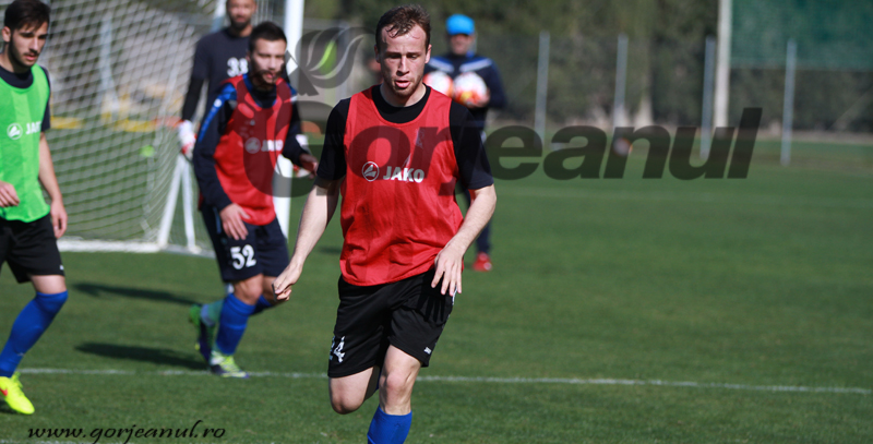 Lovitură grea pentru Pandurii!