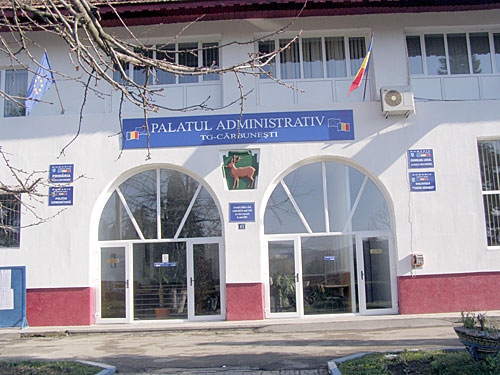 Concurs pe două funcţii la Primăria Târgu Cărbuneşti