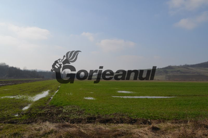 Peste 78.000 de lei, achitaţi rentierilor din Gorj