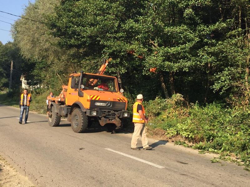 Copacii de pe DN 67 D, toaletați de către drumarii gorjeni