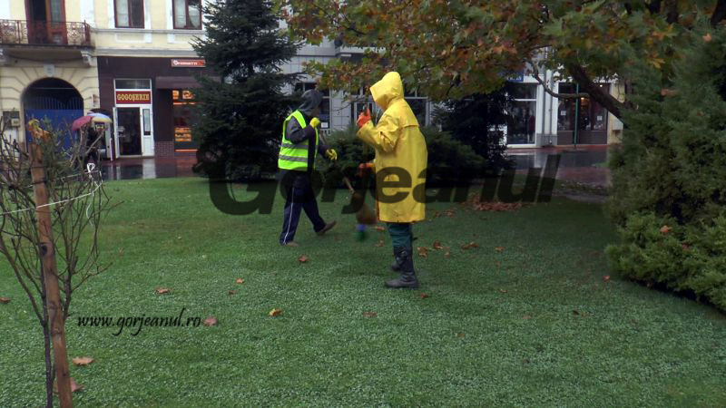 Spaţiile verzi din Târgu-Jiu, pregătite pentru sezonul rece