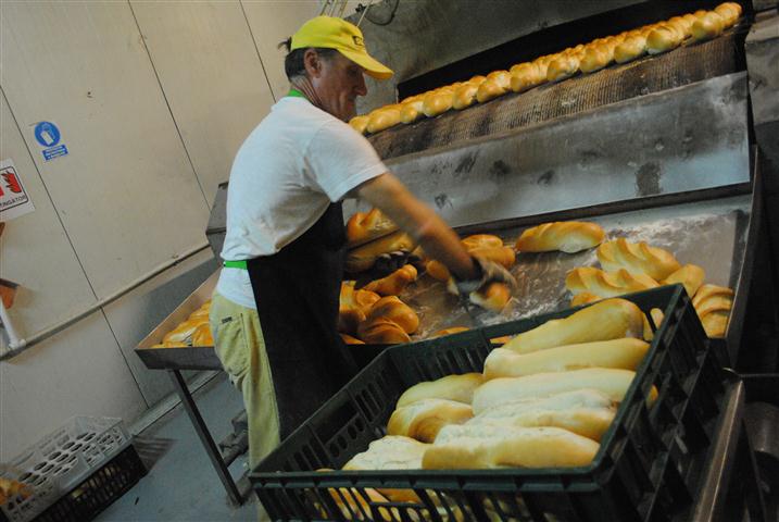 O brutărie şi o exploataţie de animale, amendate de echipele DSVSA