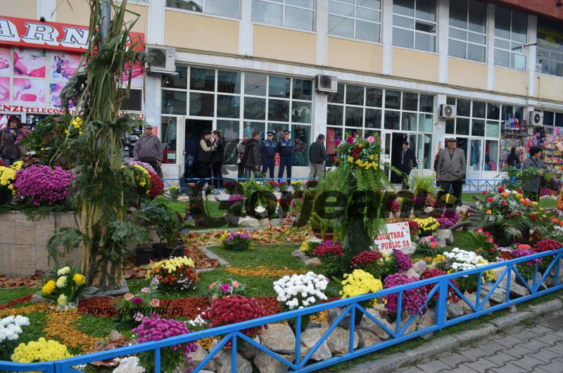festivalul toamnei (1)