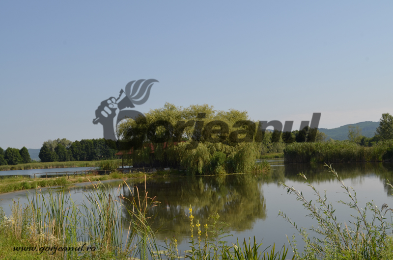 Decizia magistraților, după furtul din lacul omului de afaceri Ion Iordache