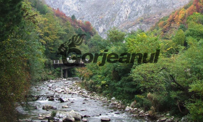 APM derulează cea de-a doua ediţie a Galei Ariilor Protejate