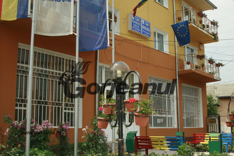 Angajări pe trei posturi vacante la Primăria Ţânţăreni