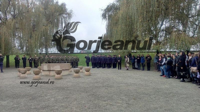 procesiune centenar primul razboi mondial (5)