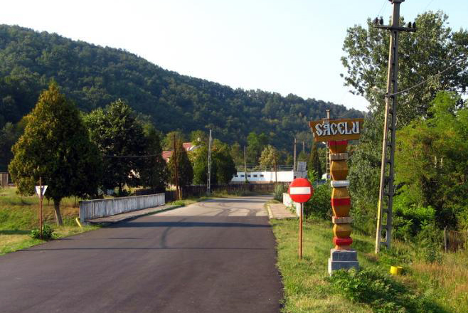 Judecată pentru ucidere din culpă