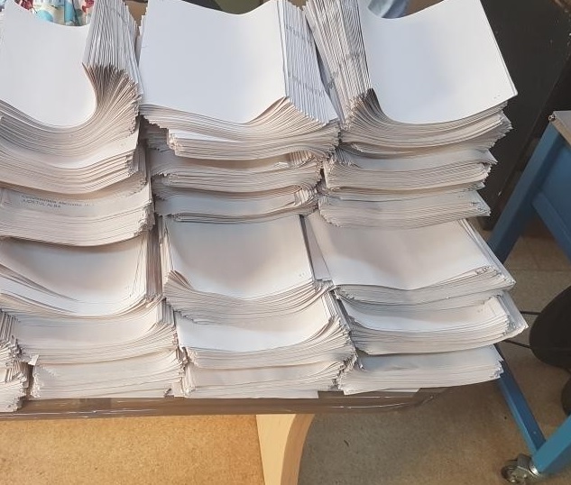 Buletinele de vot au ajuns în Gorj